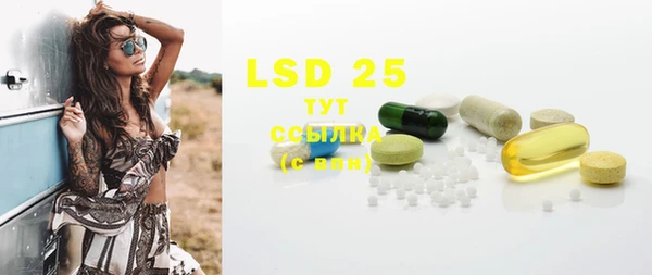 PSILOCYBIN Аркадак