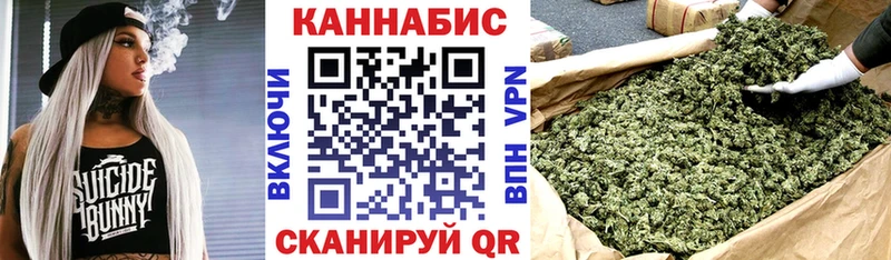 Каннабис OG Kush Ельня