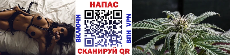 МАРИХУАНА сатива  Ельня 